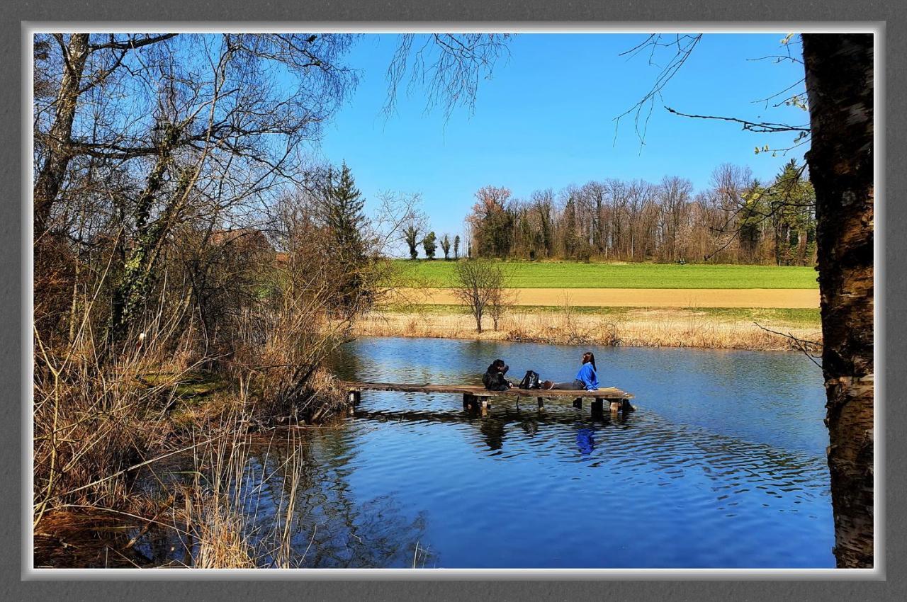 Bnb Bergsicht Dettighofen Bagian luar foto